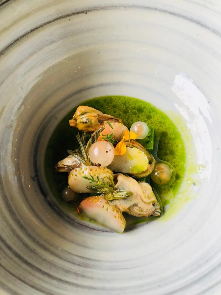 Coquillages dans un jus vert, en assiette creuse